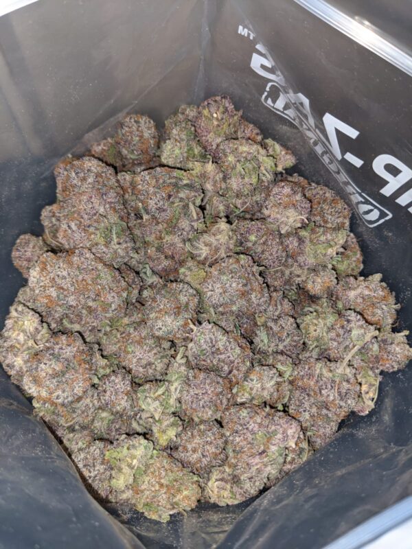 Packman Granddaddy Urkle 2g