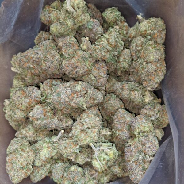 Packman Berry Payton 2